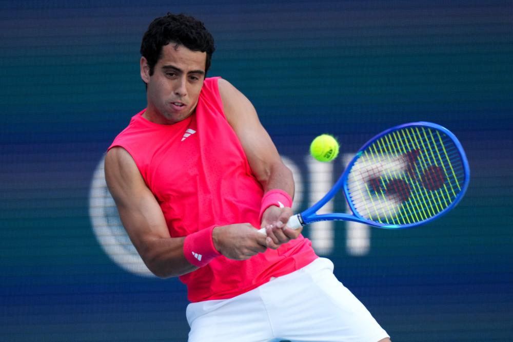 的费迪南德 的费迪南德