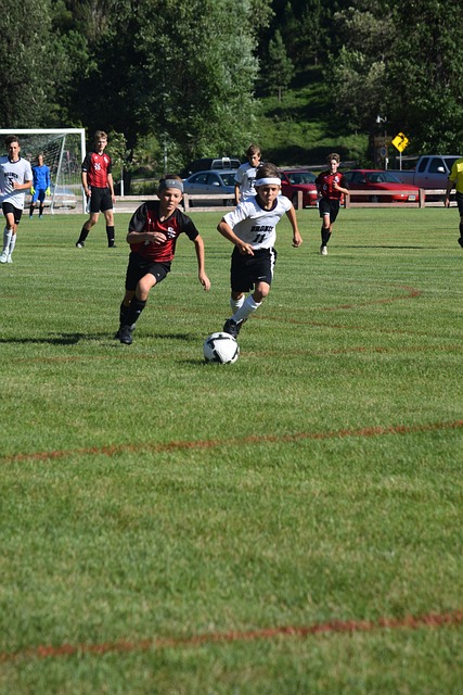 个项目金银 个项目金银