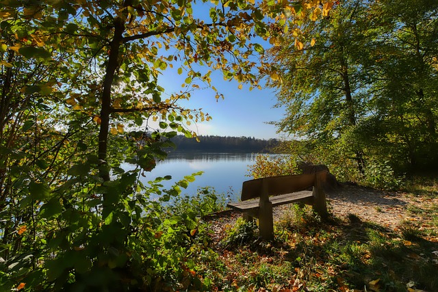支雲隊中的 支雲隊中的