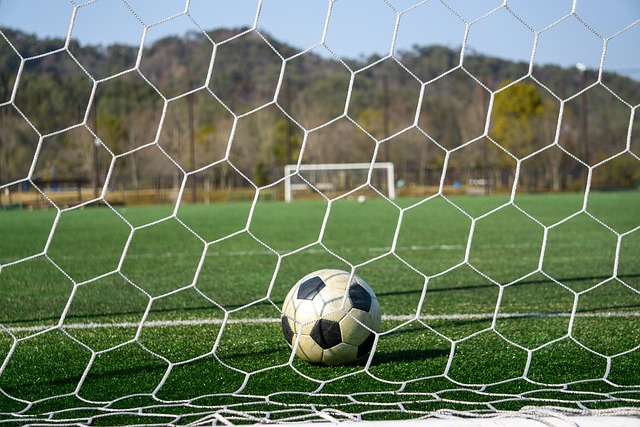 要继续专注 要继续专注